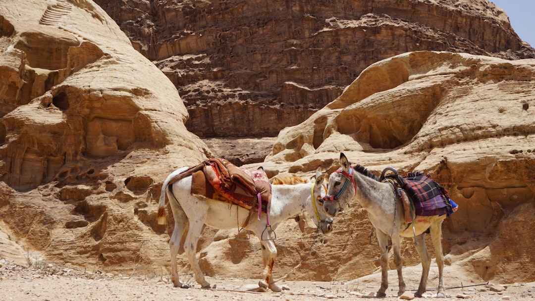 Photo UNESCO heritage sites