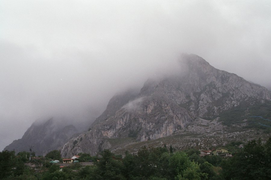 gust și miros