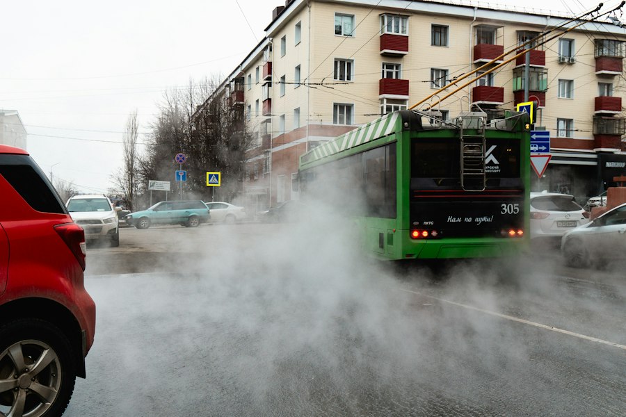 Photo gust și miros