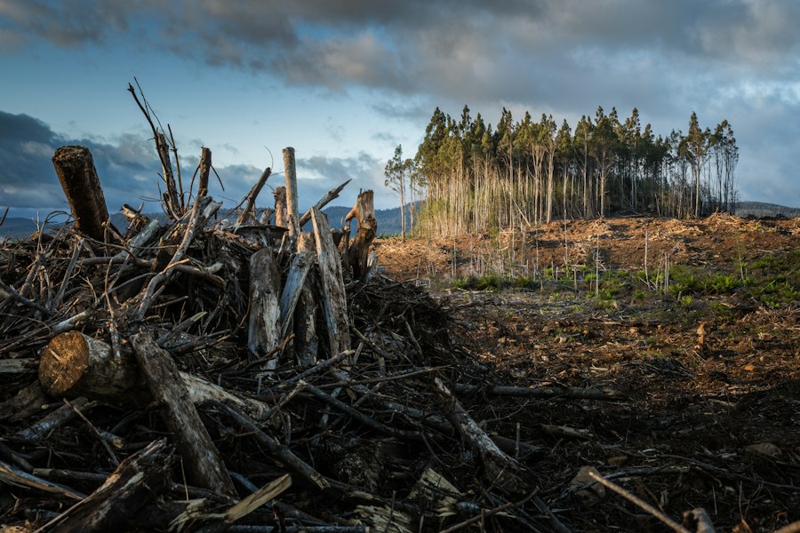 Photo climate change