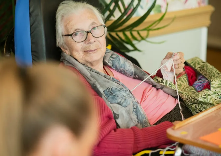 hobbies and leisure activities